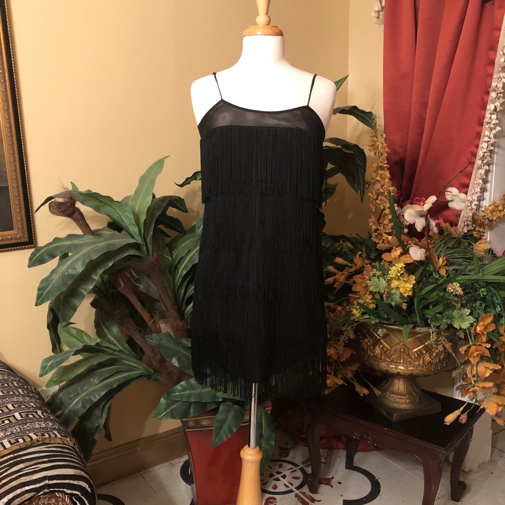 💫Fringe Flapper Mini Dress